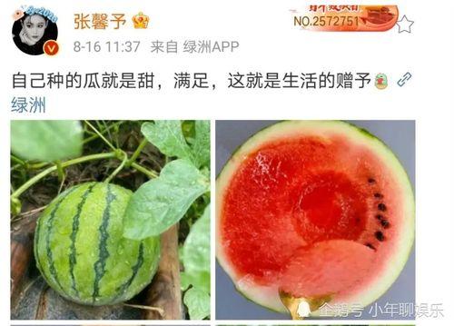 娱乐吃瓜新鲜事