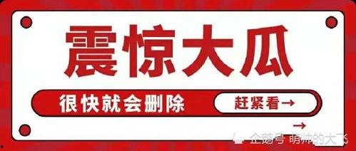 娱乐吃瓜项目,吃瓜群众带你领略幕后风云